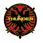 Dandenong Thunder logo